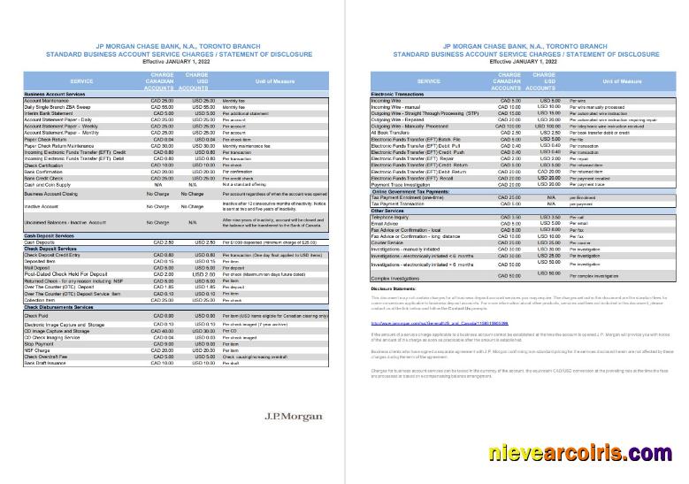 USA JP Morgan bank statement 2 pages VERSION 2
